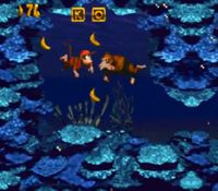 une photo d'Ã©cran de Donkey Kong Country sur Nintendo Super Nes